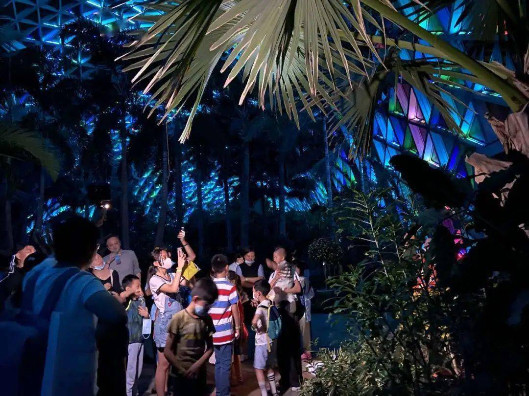 佘山夜游专线首发:辰山植物园温室夜游 泰晤士小镇欢乐亲子一日游