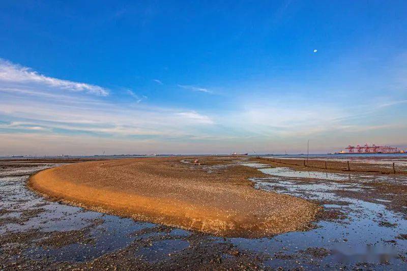 睇到了湛江港合水线