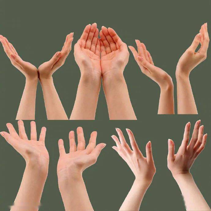 整理了一组手素材参考借鉴