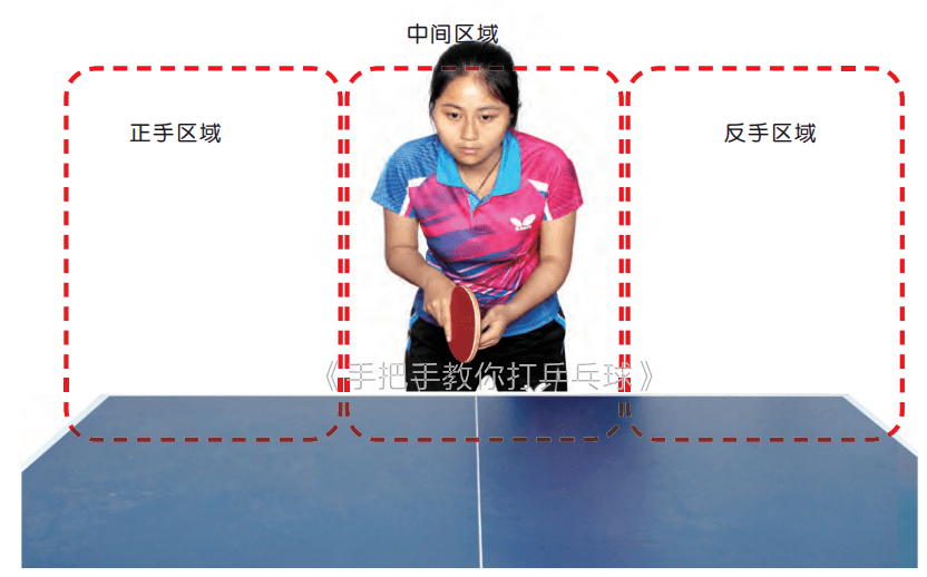 乒乓球站位图解图片