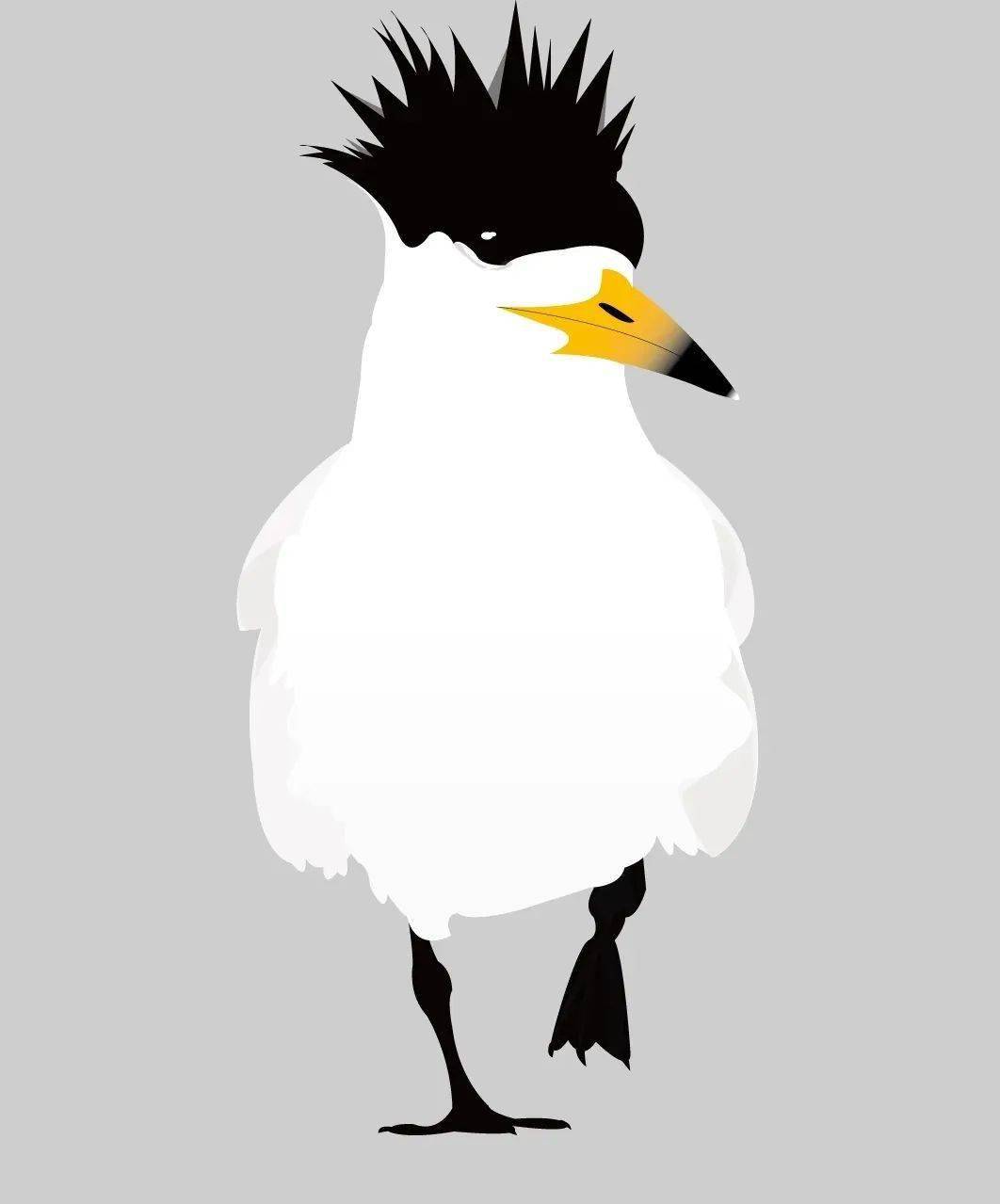 奉上每周一画的凤头燕鸥画像自然好书推荐书名:《丛林里的猫头鹰》