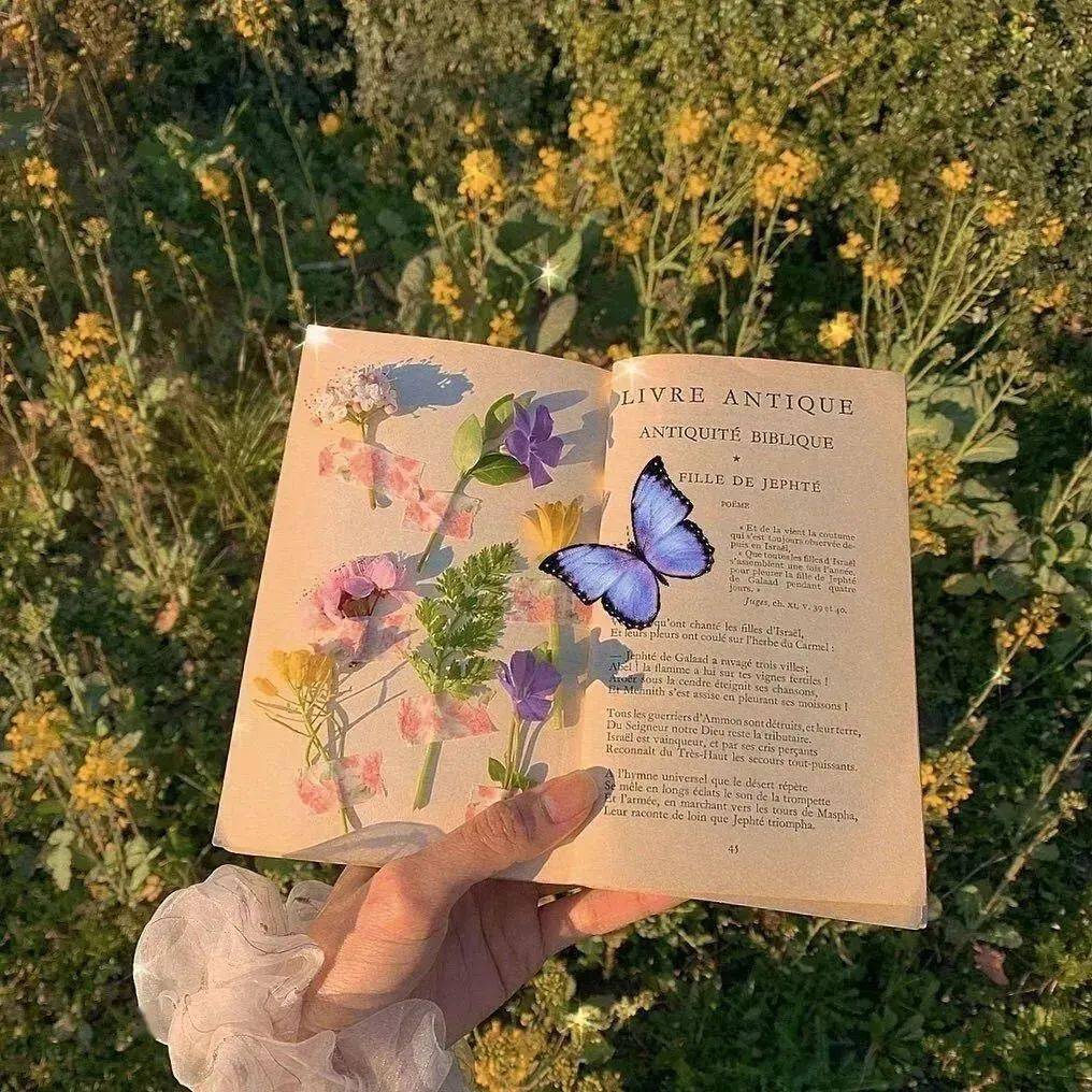 高级小众的背景图