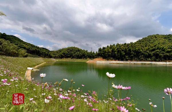 四岭水库位于径山镇四岭村, 四岭村地理位置独特,环境优美, 森林覆盖