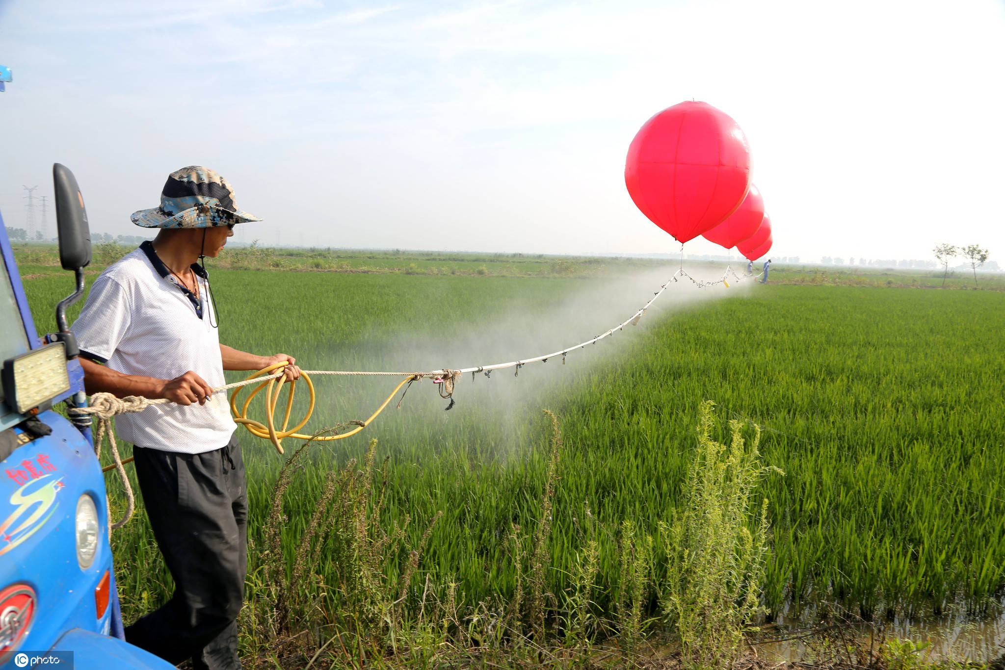 氢气球喷药机现身农场 一天可完成800亩稻田喷药