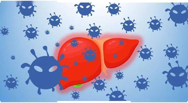 世界肝炎日|是时候关心一下你的"肝"了