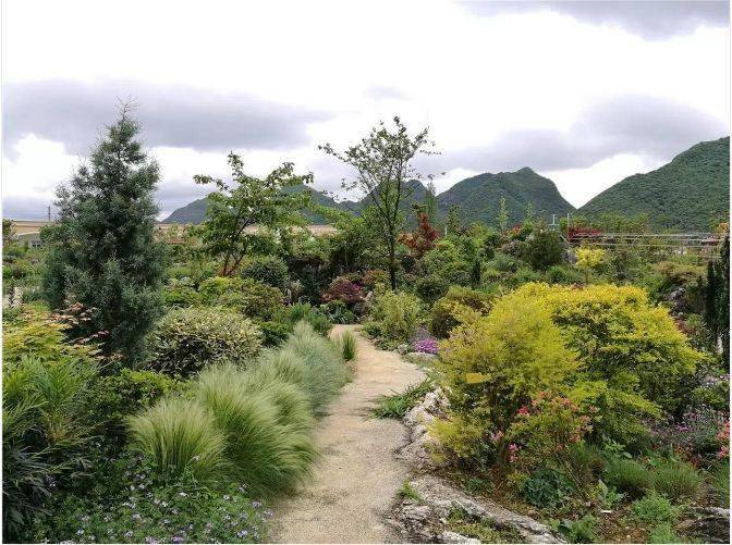 乡土植物应用营造园林绿化中的特色自然群落