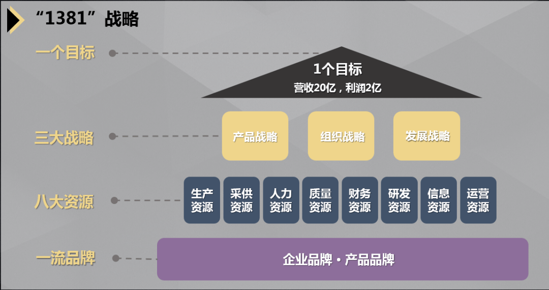 与创新"战略定位,提出主营业务2023年实现销售20亿,利润2亿的战略目标