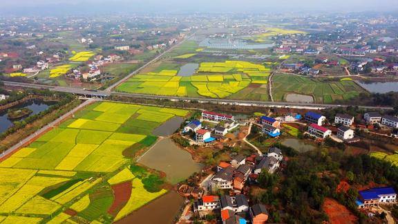 航拍衡阳市后花园石鼓区角山镇油菜花开时美成了一幅画