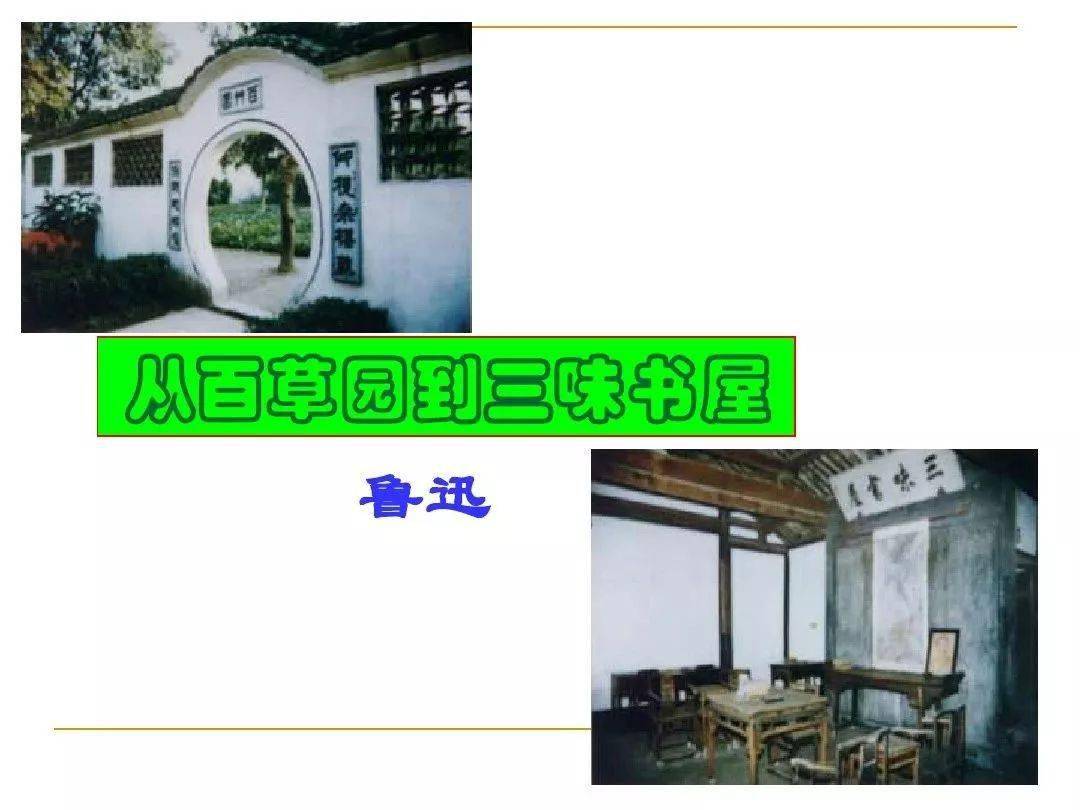 珊瑚(shān) 菜畦(wā)狗窦(dòu) 觅食(mì)c.