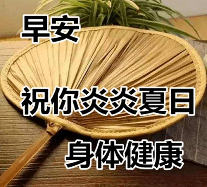 夏天清晨早上好祝福圖片帶字最新早安問候短信特漂亮的早上好問候動圖