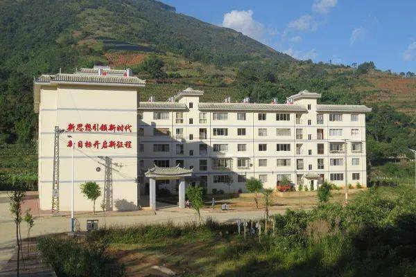 大桥乡上午村新貌