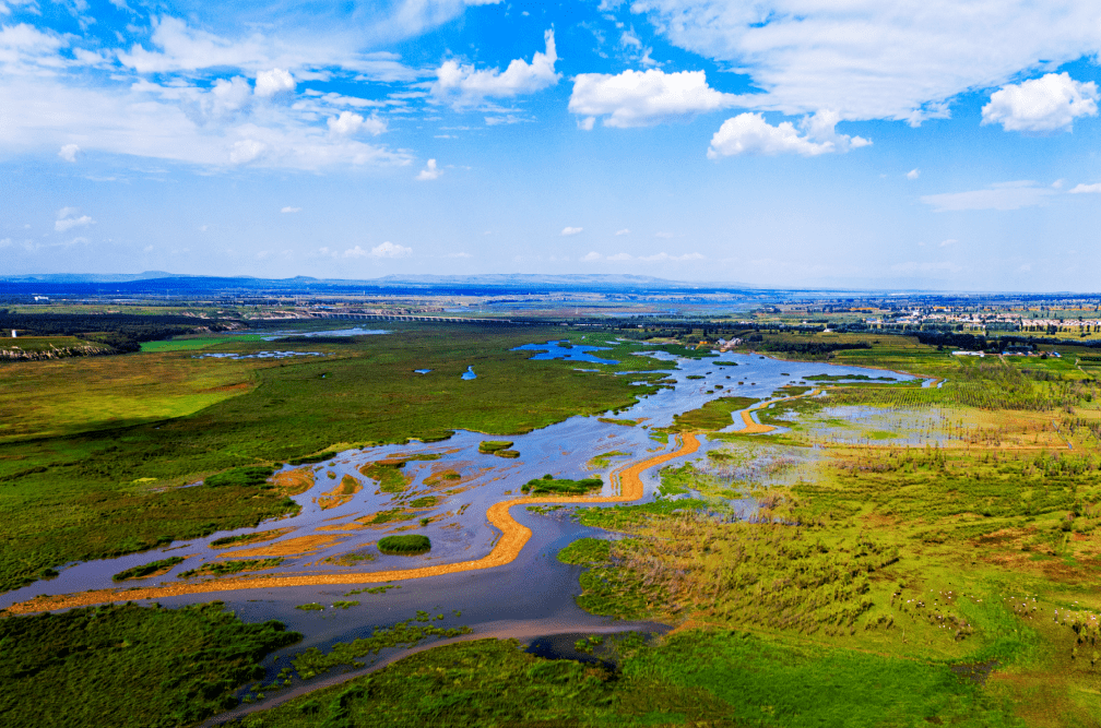 桑干河保护区,位于云州区峰峪乡桑干河流域,现为桑干河自然保护区