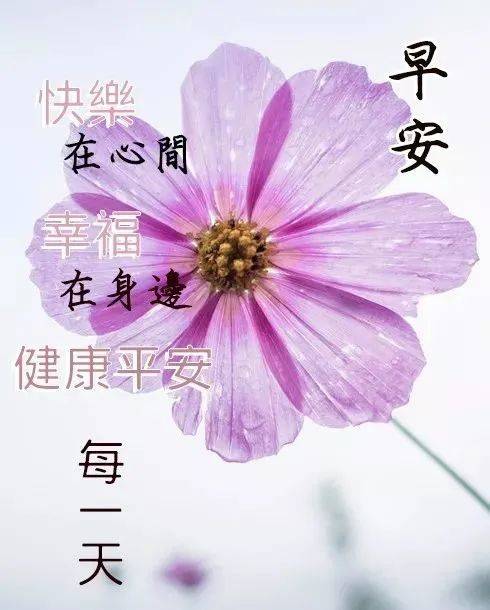 最新最美早上好问候图片带字带祝福语 群发早安祝福图片带字 朋友圈