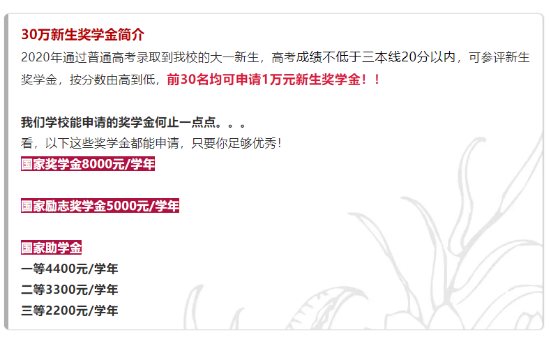 湖南省教育厅民办教育处处长幸勇,长沙市教育局副局长杨庆江,长沙市