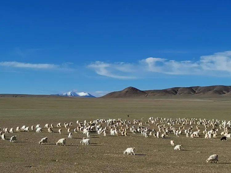 尼玛县阿索乡图片图片