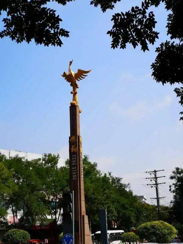 张敏凤翔秦凤路最靓的风景土槐