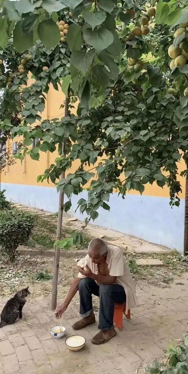 本溪县新诗学会(微刊)第107期看图题诗展示