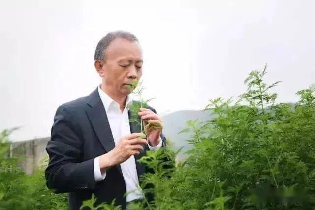 (图文无关)留隍乡贤朱拉依先生旗下的广东新南方集团
