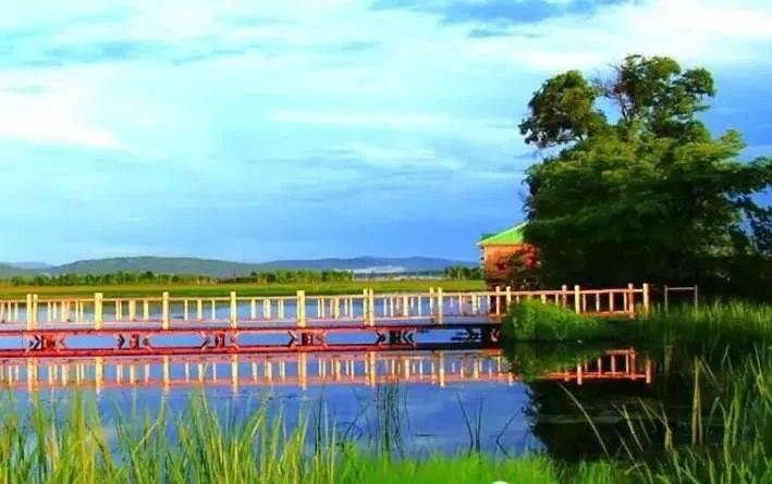 新青国家湿地公园是一片充满灵气的土地,是鸟类的生