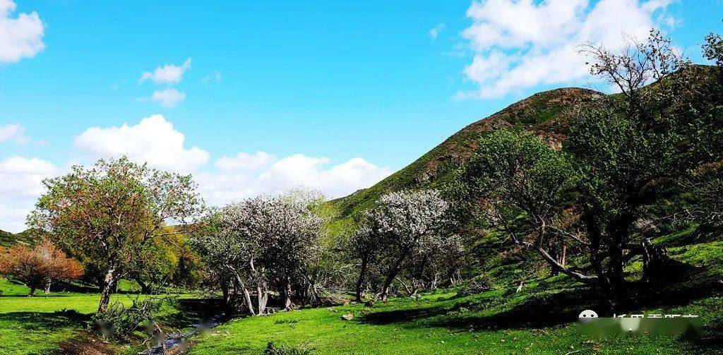 生態公園托里縣生態園為3a景區,佔地面積609畝.