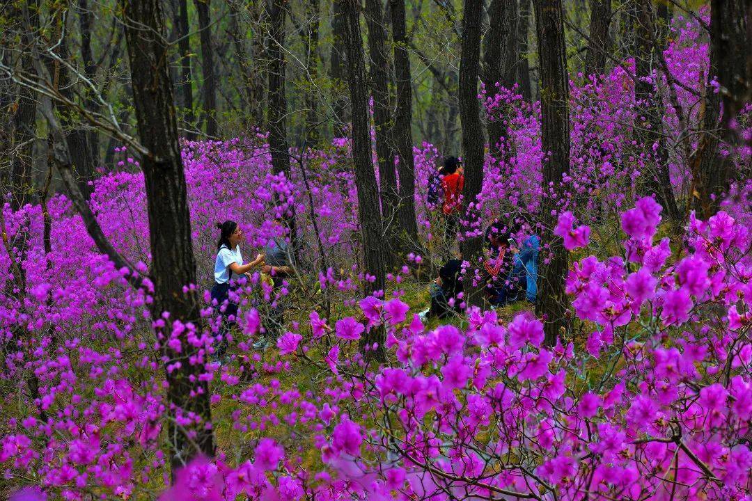 消夏避暑,万事俱备只欠"东丰"