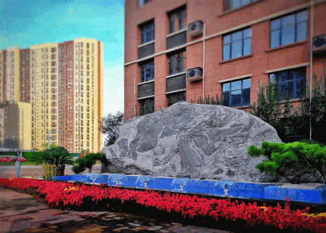 家门口的好学校——曲江第十三小学_活动