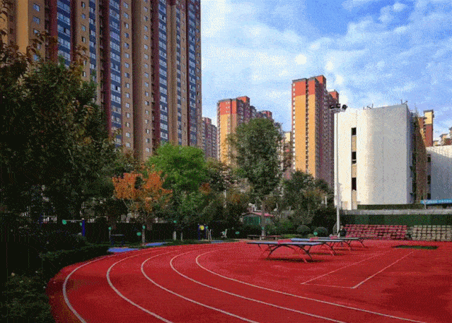 家门口的好学校——曲江第十三小学_活动