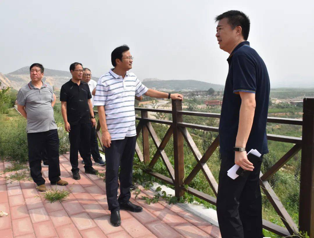党政领导抓环保 | 邯郸武安市市委书记赵洪山调研矿山修复治理和白灰