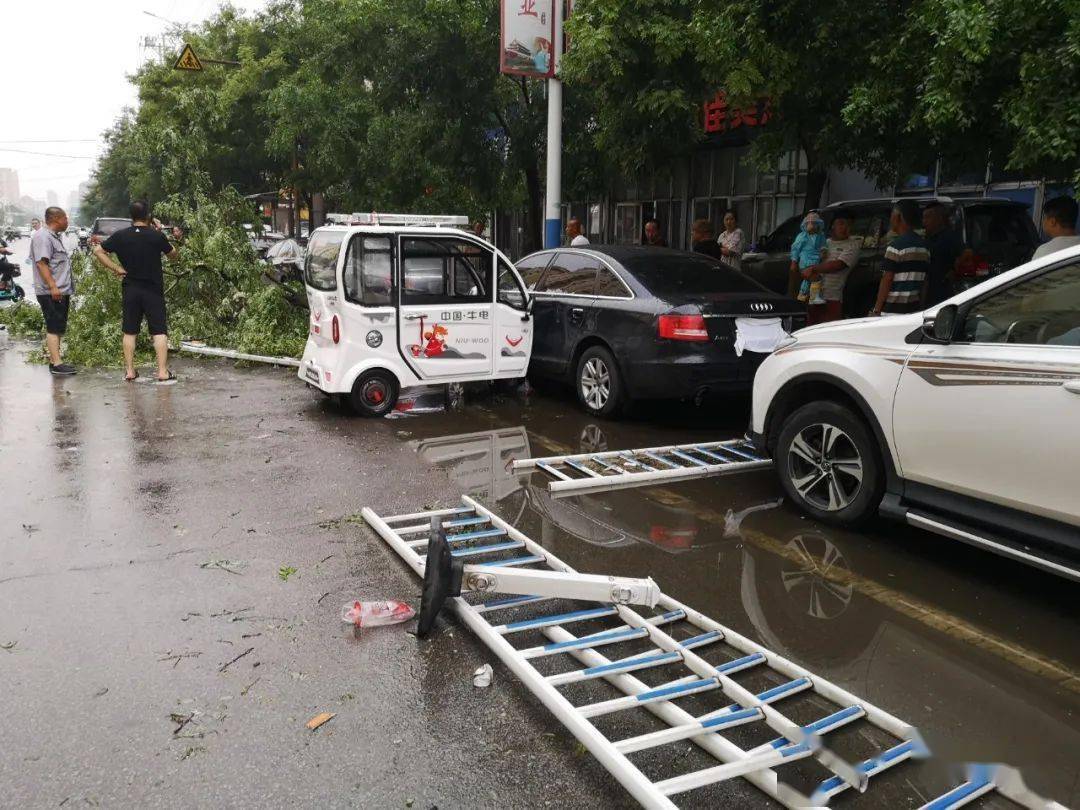 我市遭遇强对流天气 树被吹断车被砸_海城市