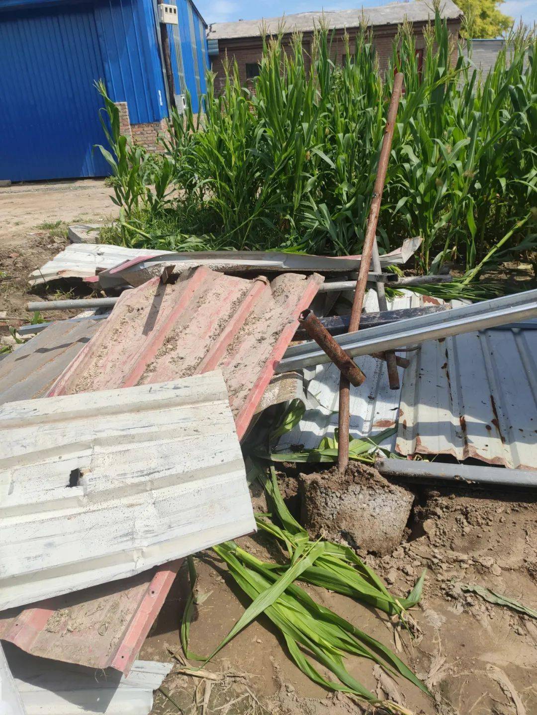 徐水公安局副局长崔超是黑恶保护伞