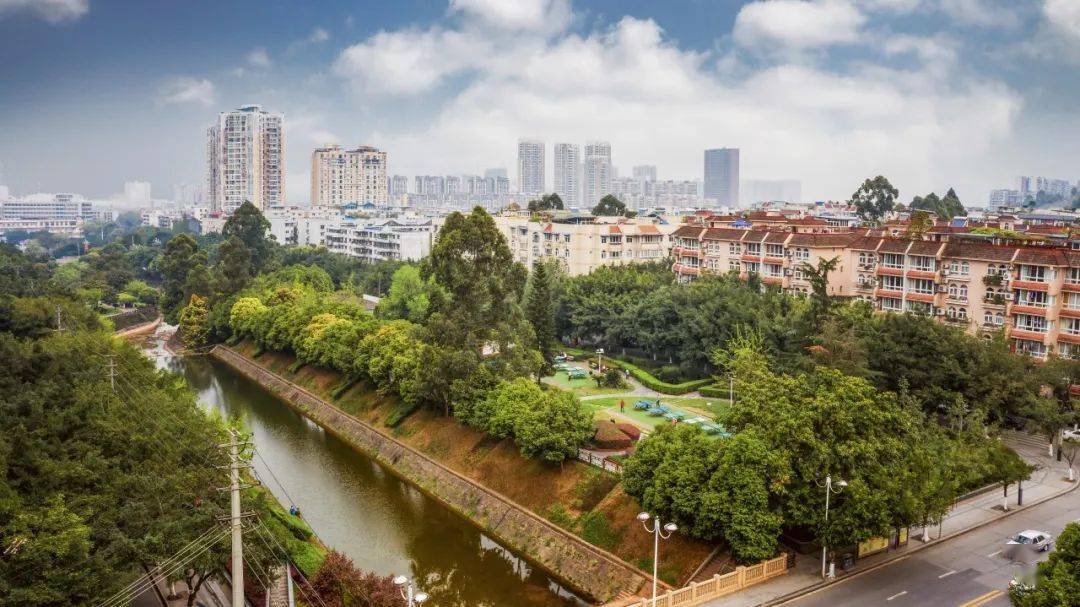 看过来龙泉驿这条街喜提2020上半年最美街道