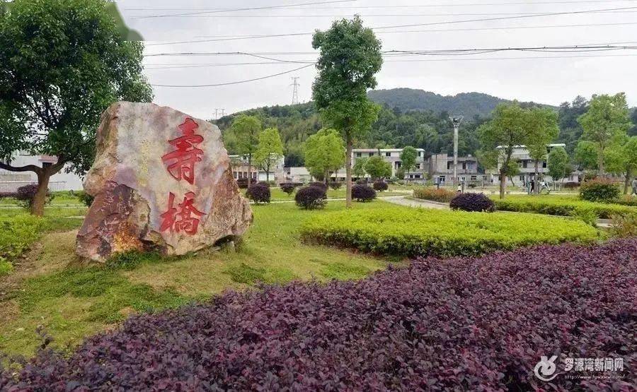 从"灰头土脸"到网红"桃花源" ——罗源县西兰乡寿桥村的"绿色"逆袭