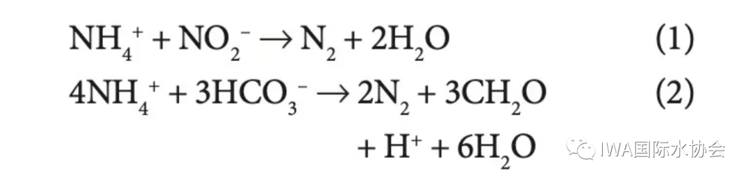 厌氧氨氧化一个关于时间和耐心的故事从43年前谈起