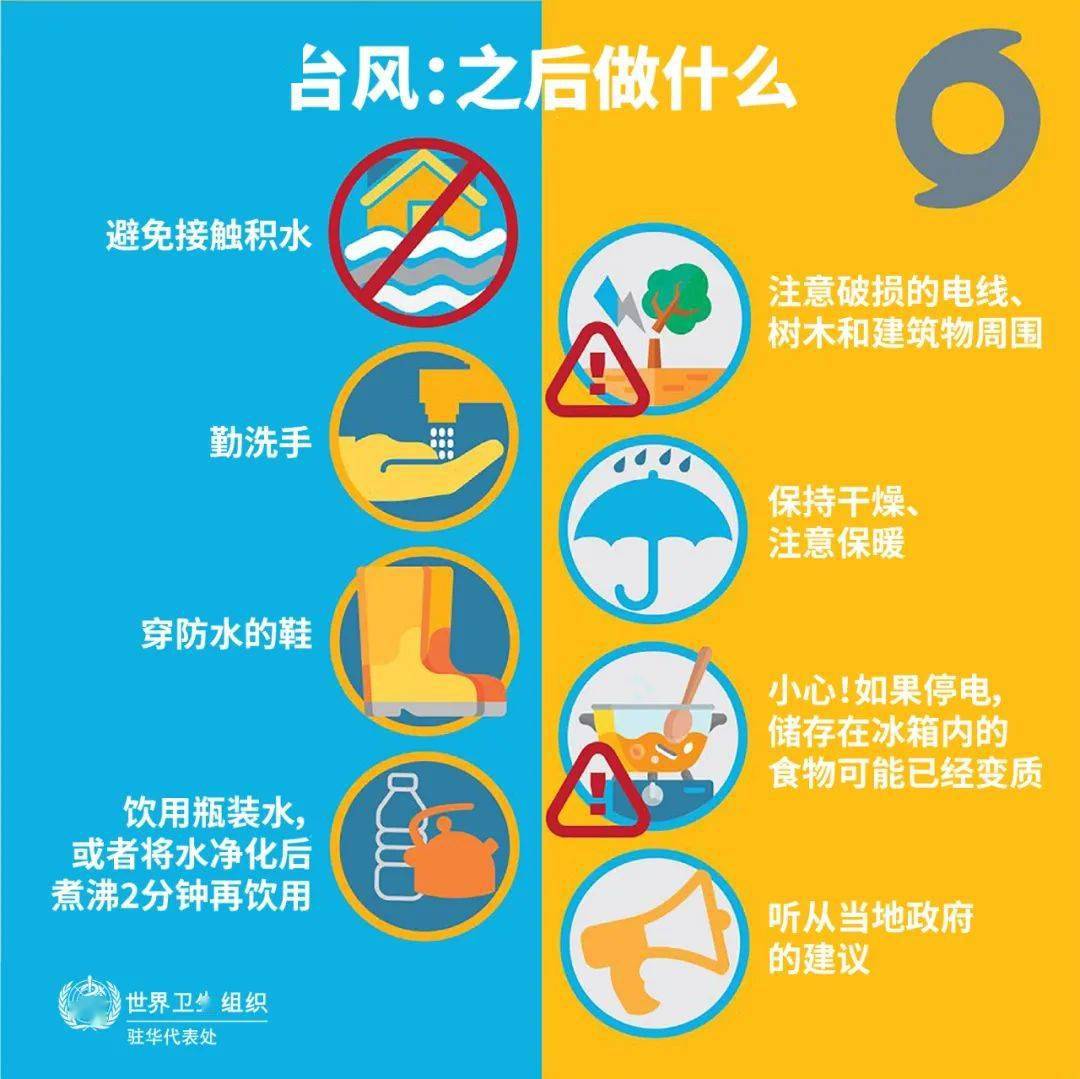 台风来袭,如何应对?