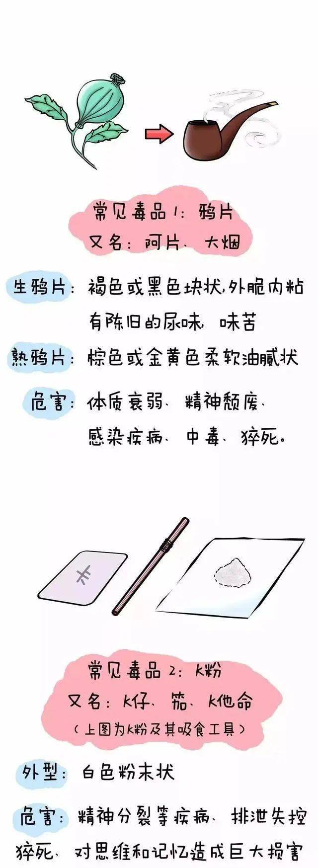 远离毒品,珍爱生命——禁毒安全小知识