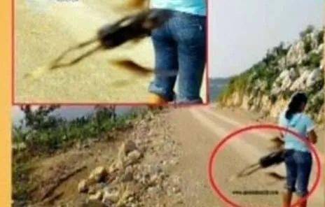 盘点那些诡异的人形生物妖精外星人未知生物