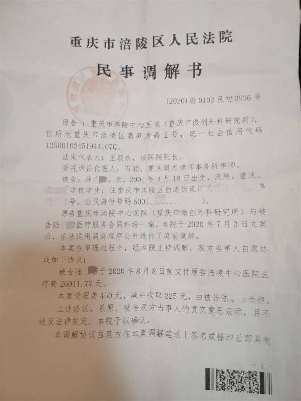 陆蓉的家人迫于压力选择庭前调解袁芬女儿的案子和陆蓉的案子同一天