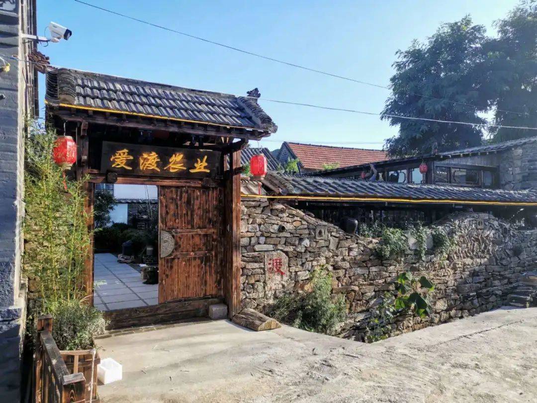 渡口村党支部领办合作社谱写清洋河畔"致富曲"