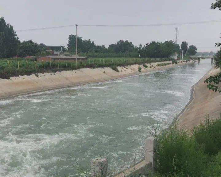 冒雨钓鱼不慎滑入石津渠!深州沿线群众留意.