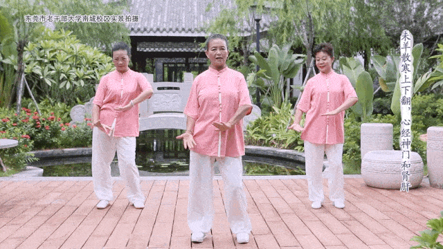 十二生肖健身操由东莞市人民医院退休的中医师 姚英芳自创.