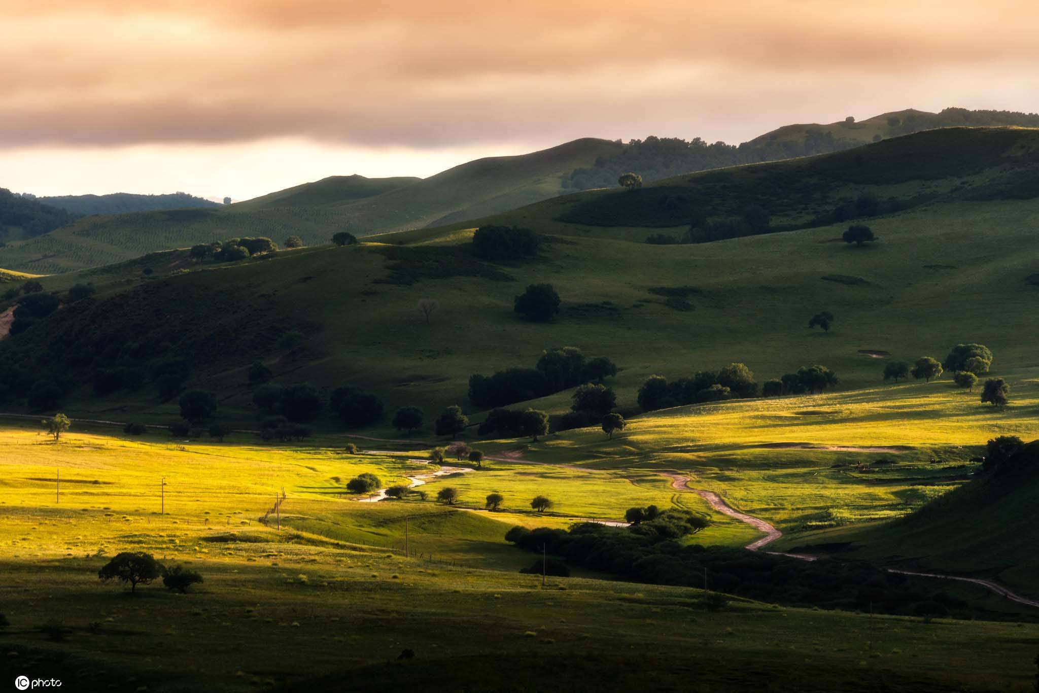 夏季乌兰布统草原光芒万丈 晚霞似火