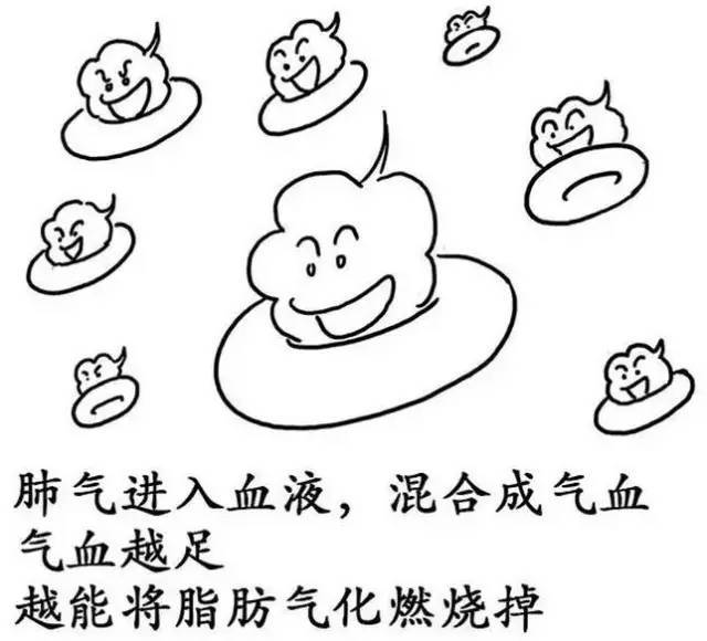 产生肥胖的原因:(1)遗传与环境因素(2)物质代谢与内分泌功能的改变(3)