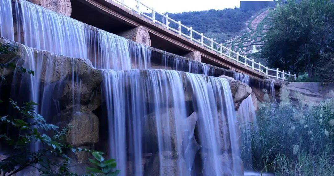 08 | 公眾號 青島城陽旅遊茂密的植被經過雨水洗滌,青翠欲滴.