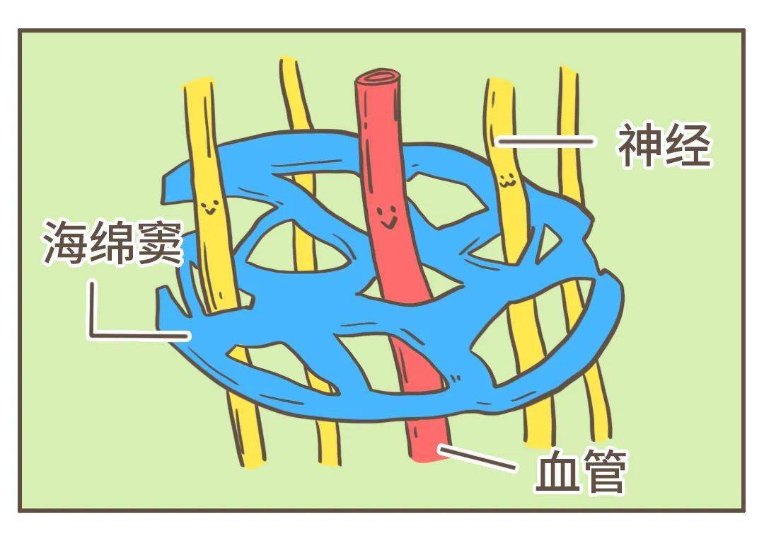 危险三角区的痘痘不能挤?