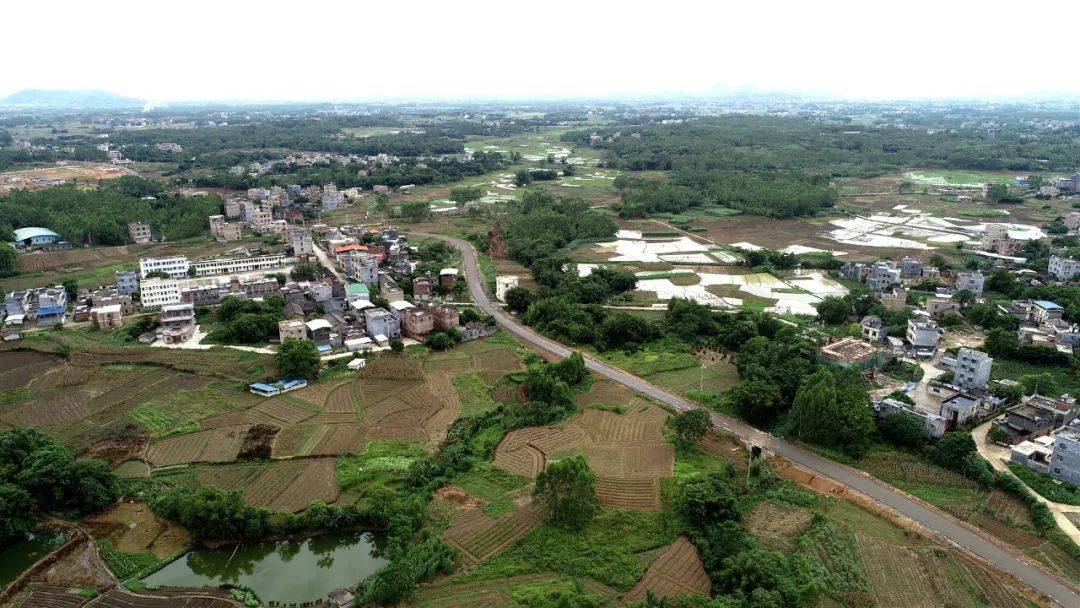 跟小編一起看看桂平市白蘭至蒙圩三級路建設情況如何?