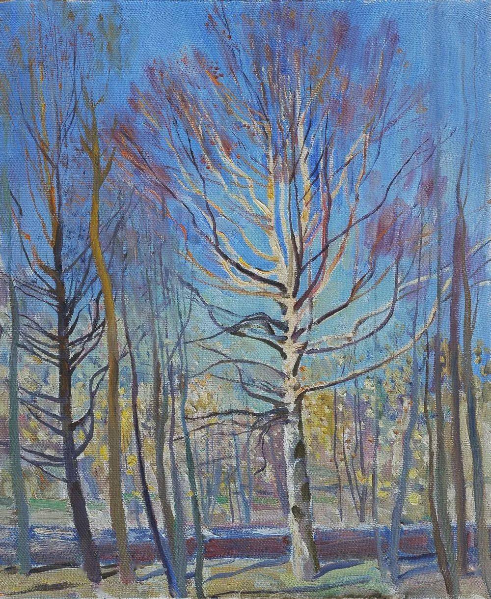 布里奥克 白桦林 60х50cm 布面油画 1990年