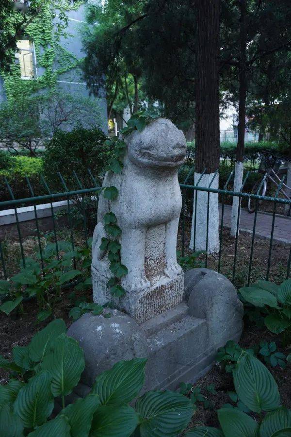 1 2 3 4 5 6 小孩子都懂的道理  北京老虎庙 被砍的女性太冤枉了 奔涌