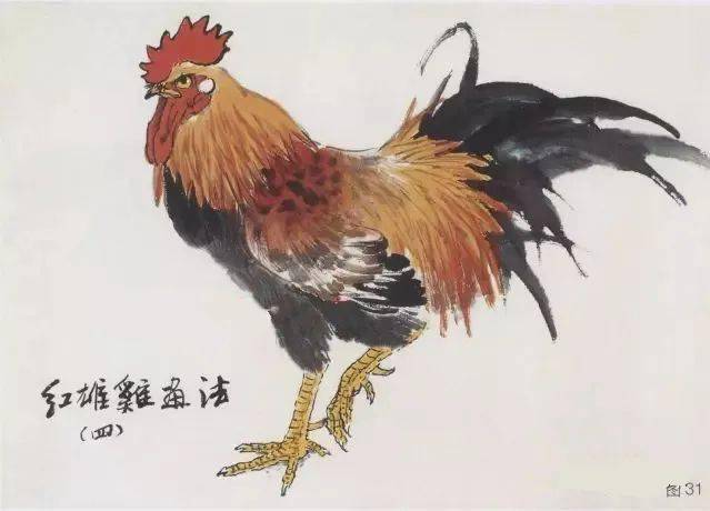 国画写意画鸡技法