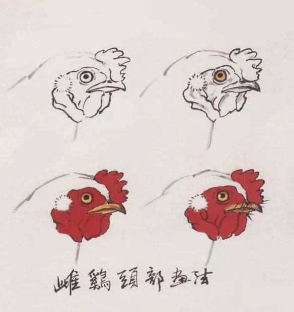 国画写意画鸡技法_画法