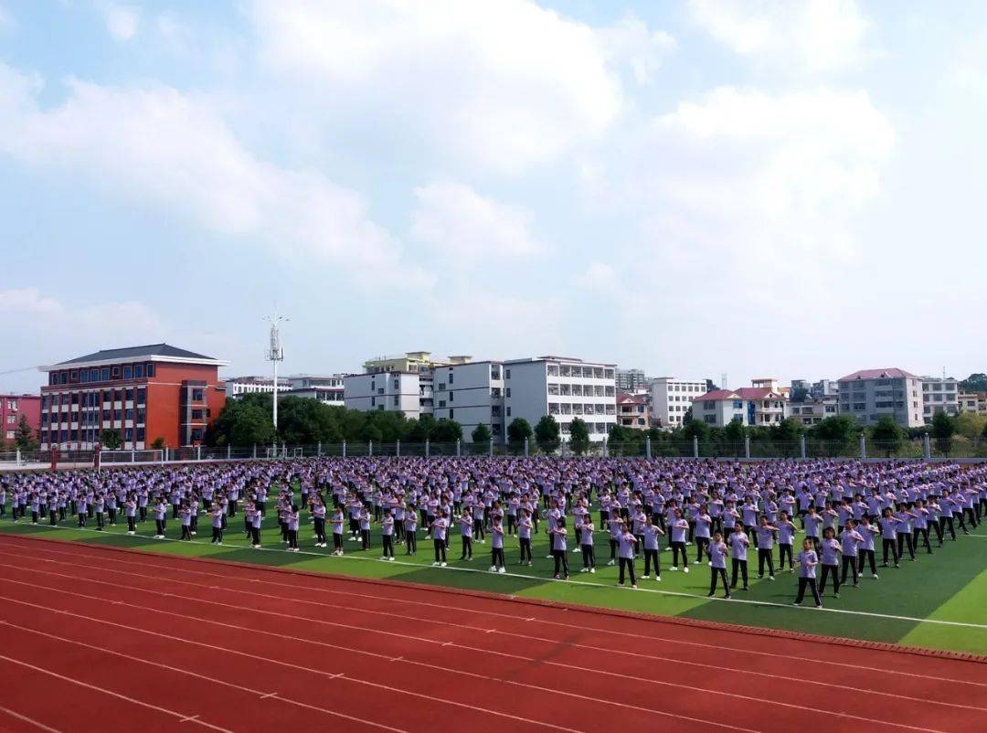 鸣鼓征贤才61富田招教师│寻找出色的你2020年武冈市富田学校教师